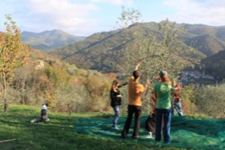 Collecting olives is part of the activities we do every year as a school family