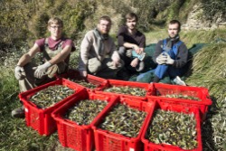 With the olives collected from about 100 olive trees on the property of the school, we produce olive oil and many more olive-based delicacies ;)
